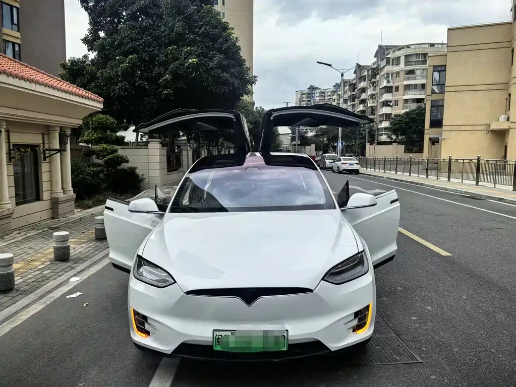 Tesla Model X — фото 4