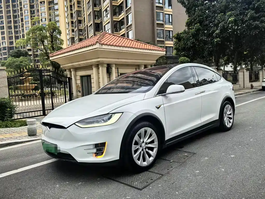 Tesla Model X — фото 5