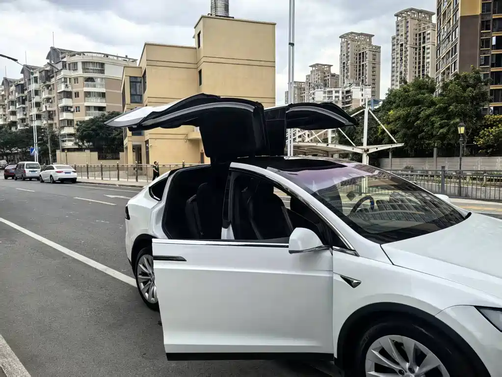 Tesla Model X — фото 6