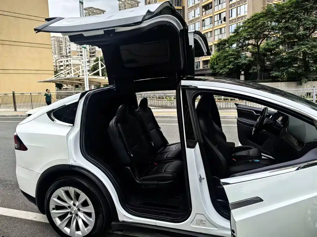 Tesla Model X — фото 7