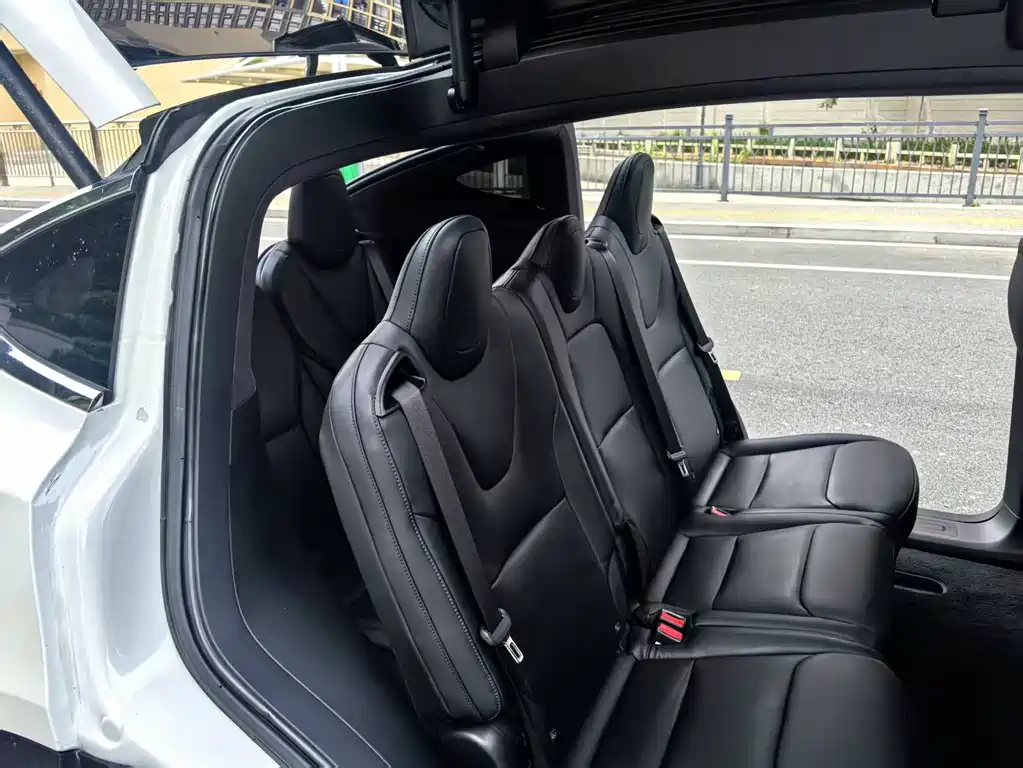 Tesla Model X — фото 8