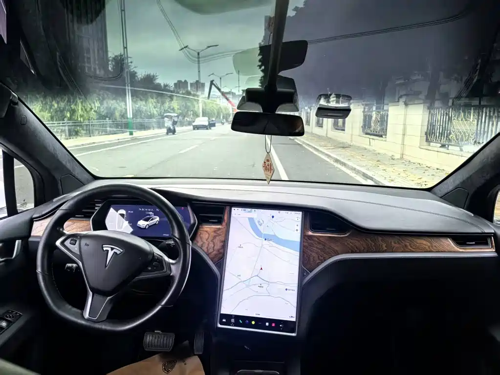 Tesla Model X — фото 10