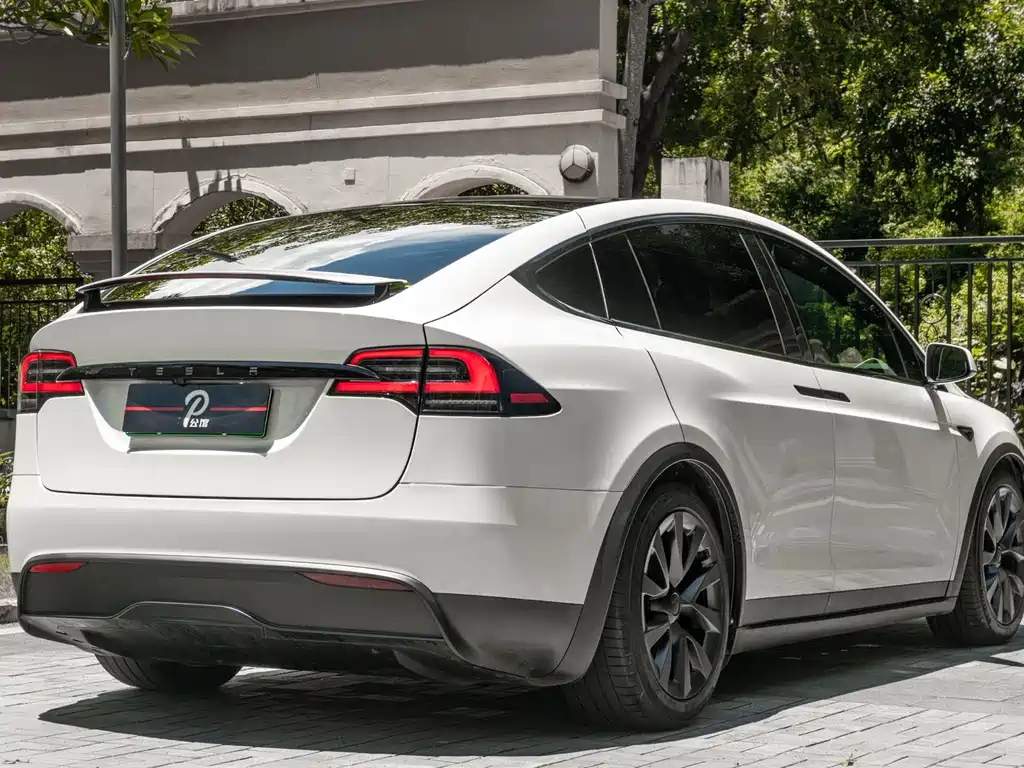 Tesla Model X — фото 6