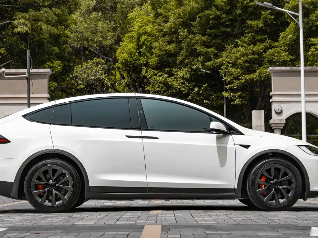 Tesla Model X — фото 7