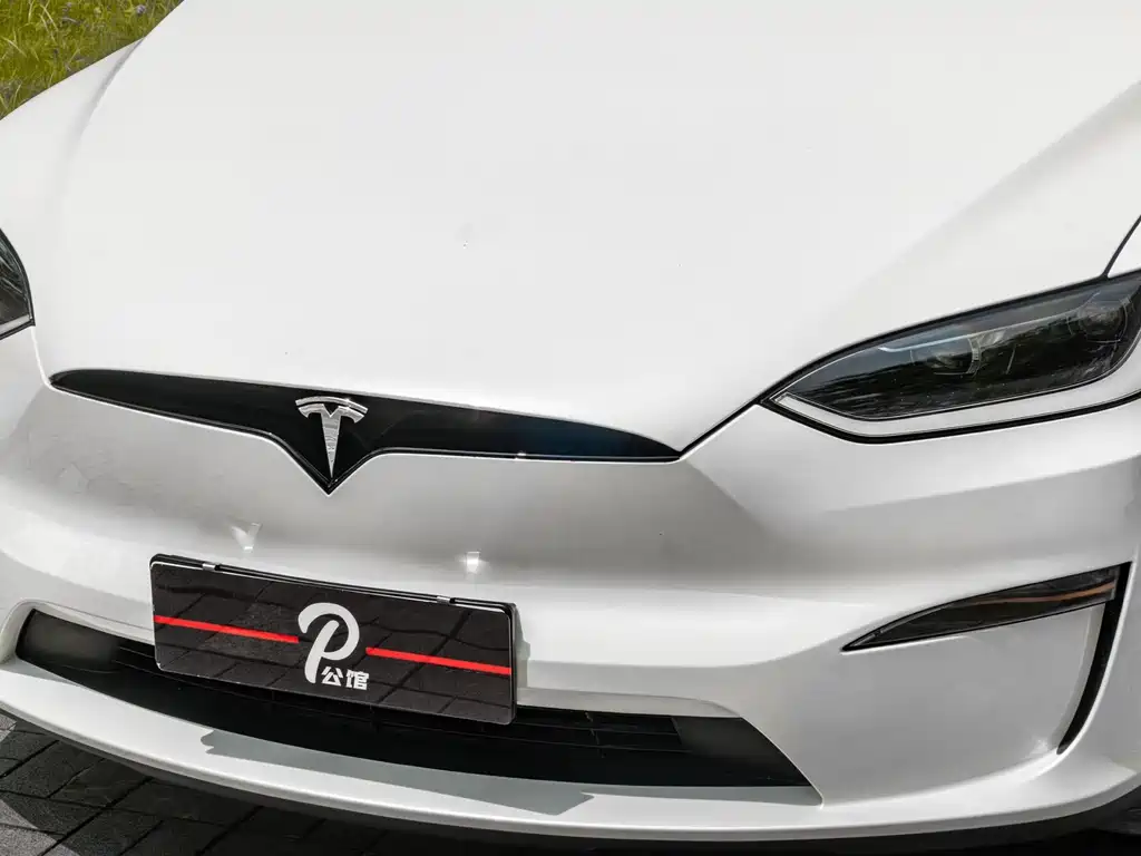 Tesla Model X — фото 8