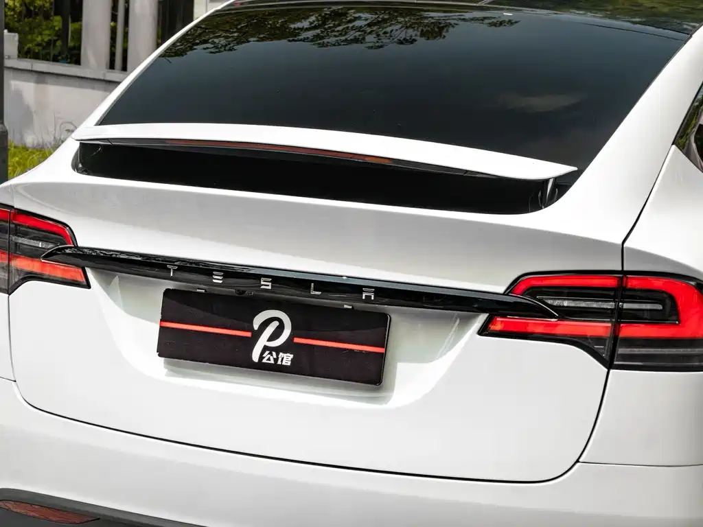 Tesla Model X — фото 9
