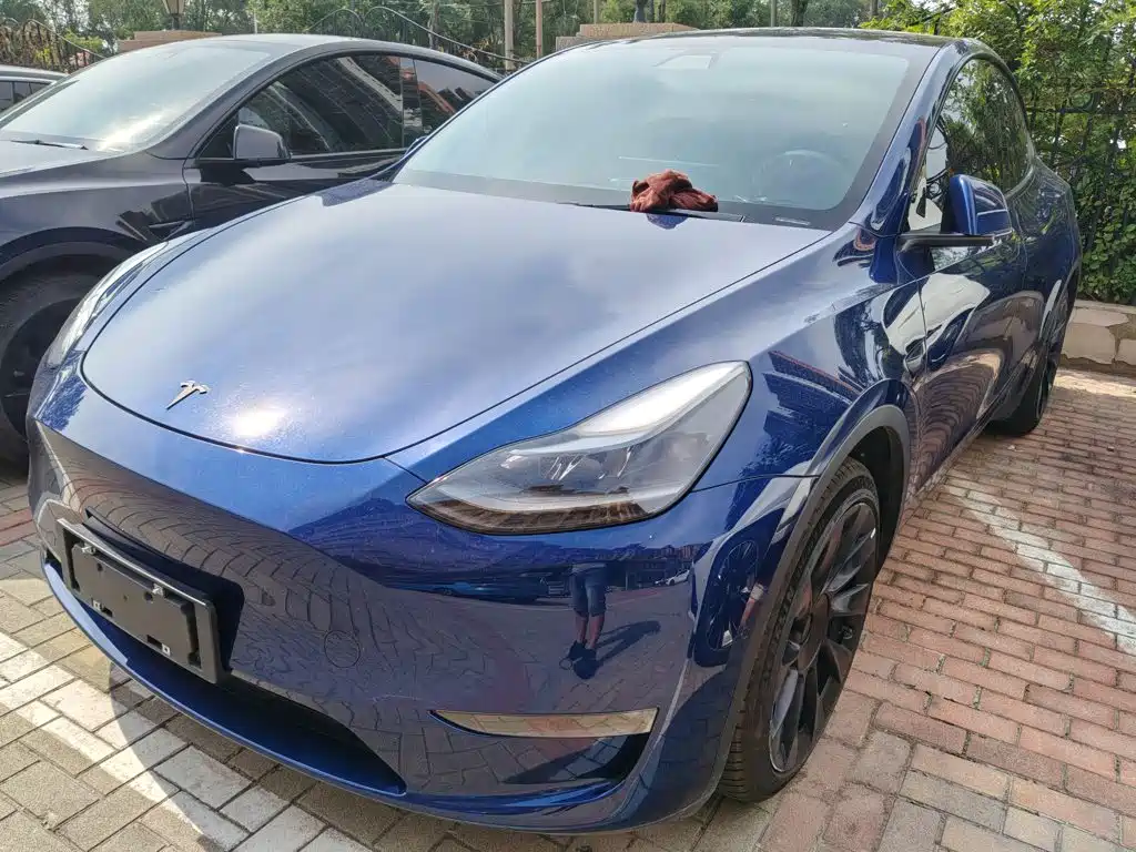 Tesla Model Y — фото 2