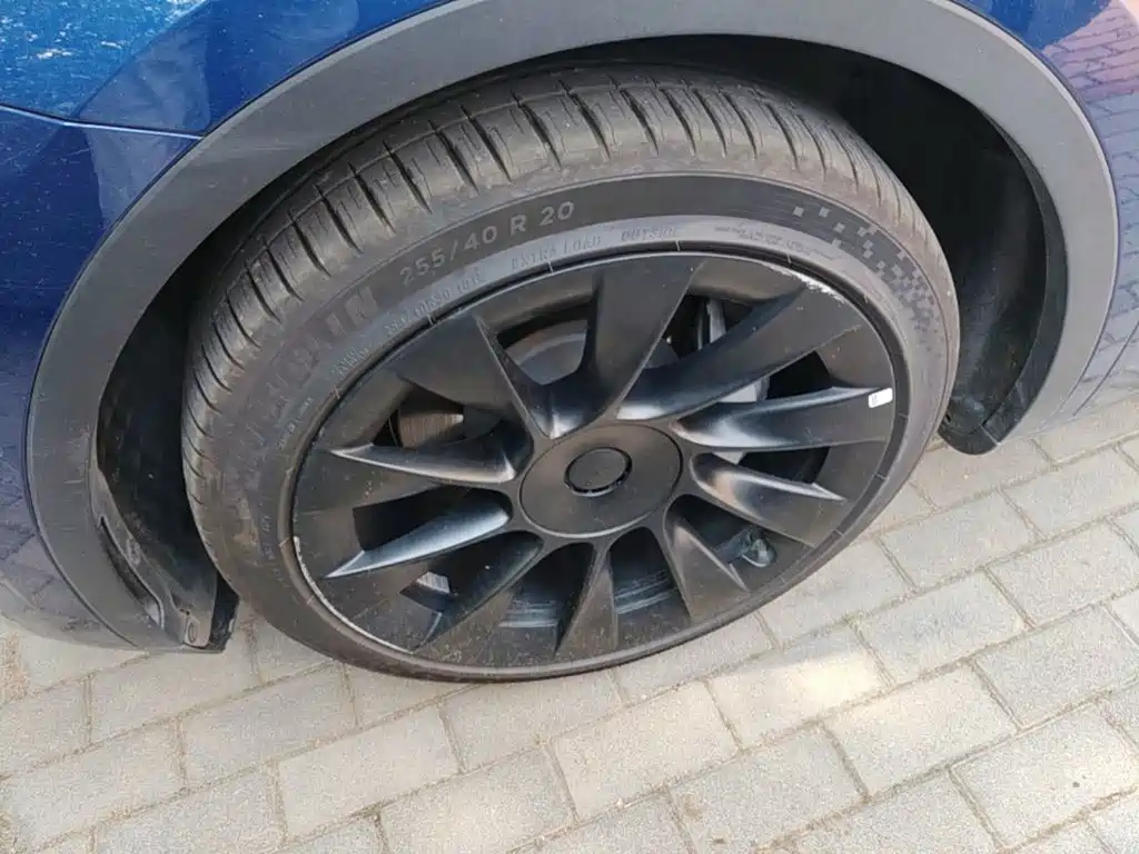 Tesla Model Y — фото 23