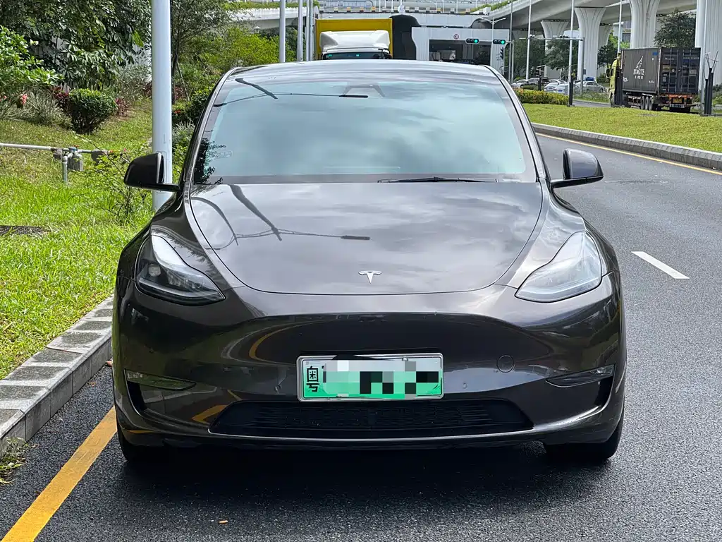 Tesla Model Y — фото 2