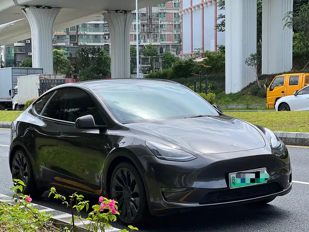 Tesla Model Y — фото 3