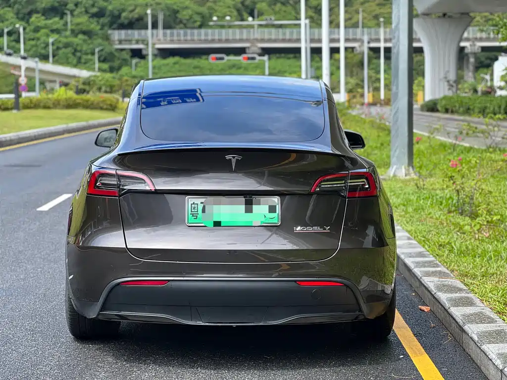 Tesla Model Y — фото 5
