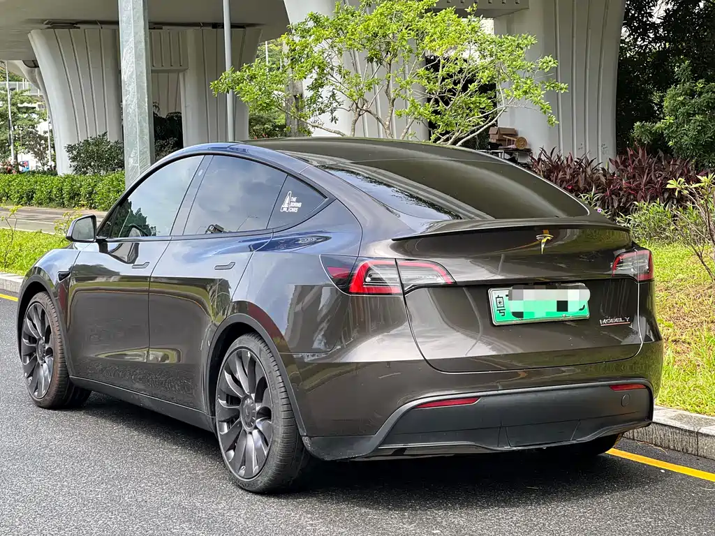 Tesla Model Y — фото 6