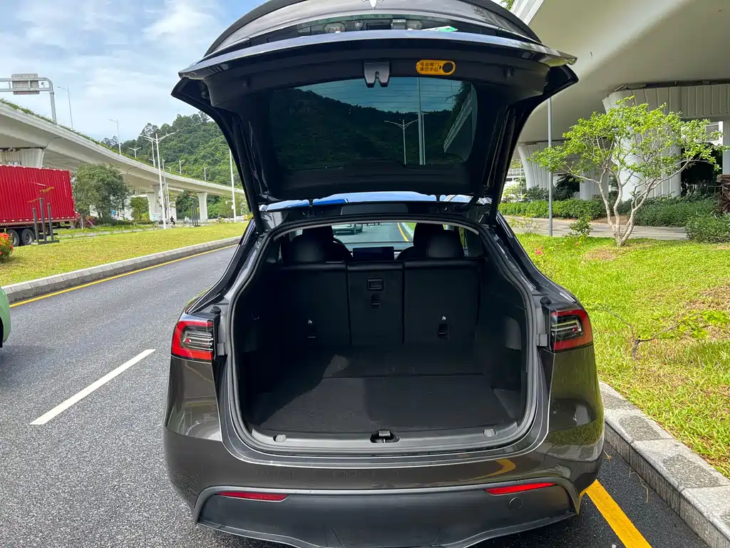 Tesla Model Y — фото 8