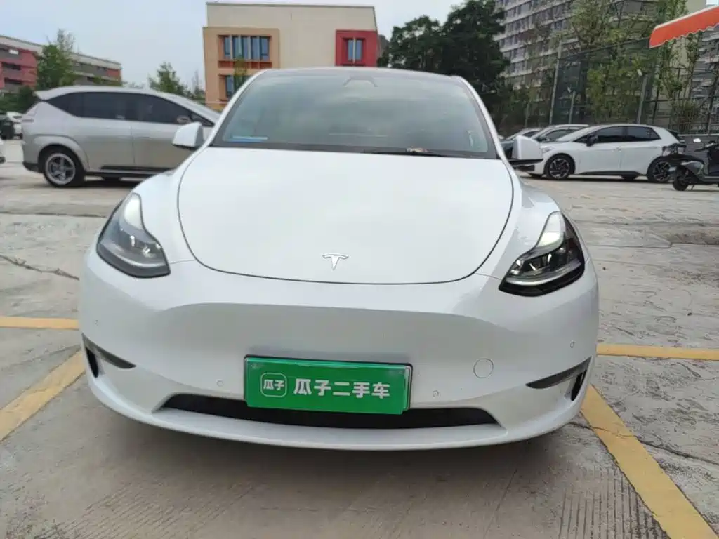 Tesla Model Y — фото 3