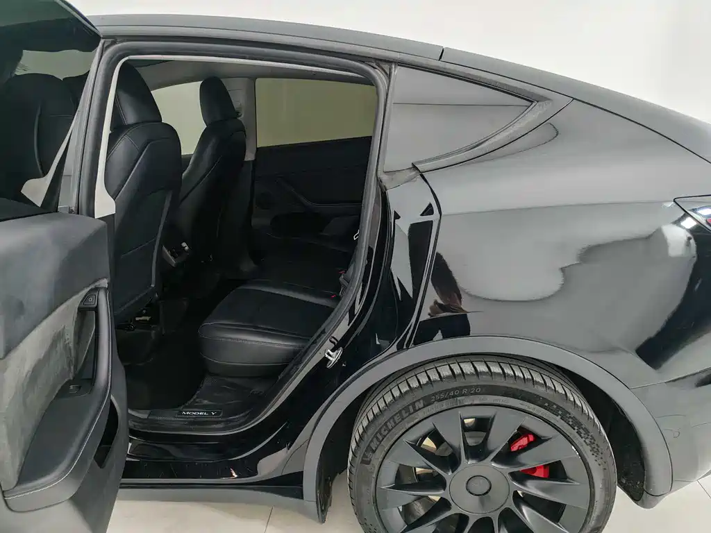 Tesla Model Y — фото 11