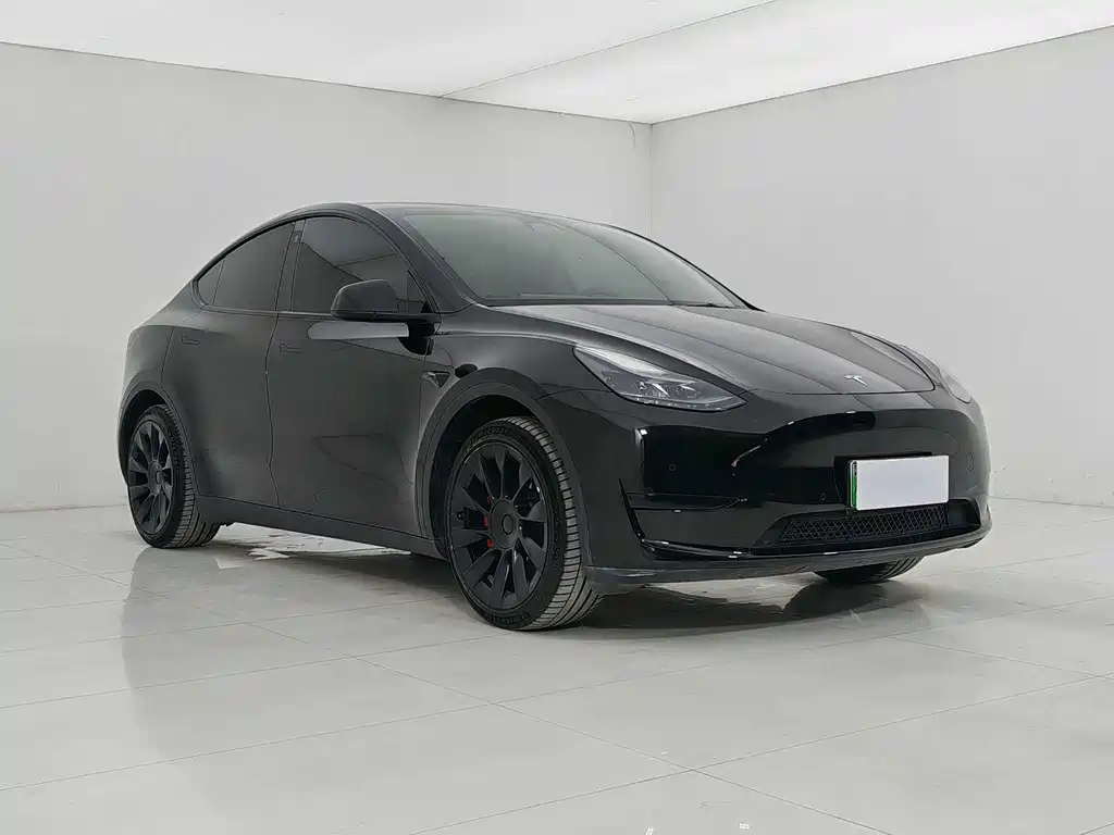 Tesla Model Y — фото 3