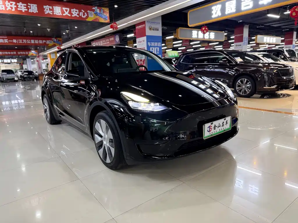 Tesla Model Y — фото 3