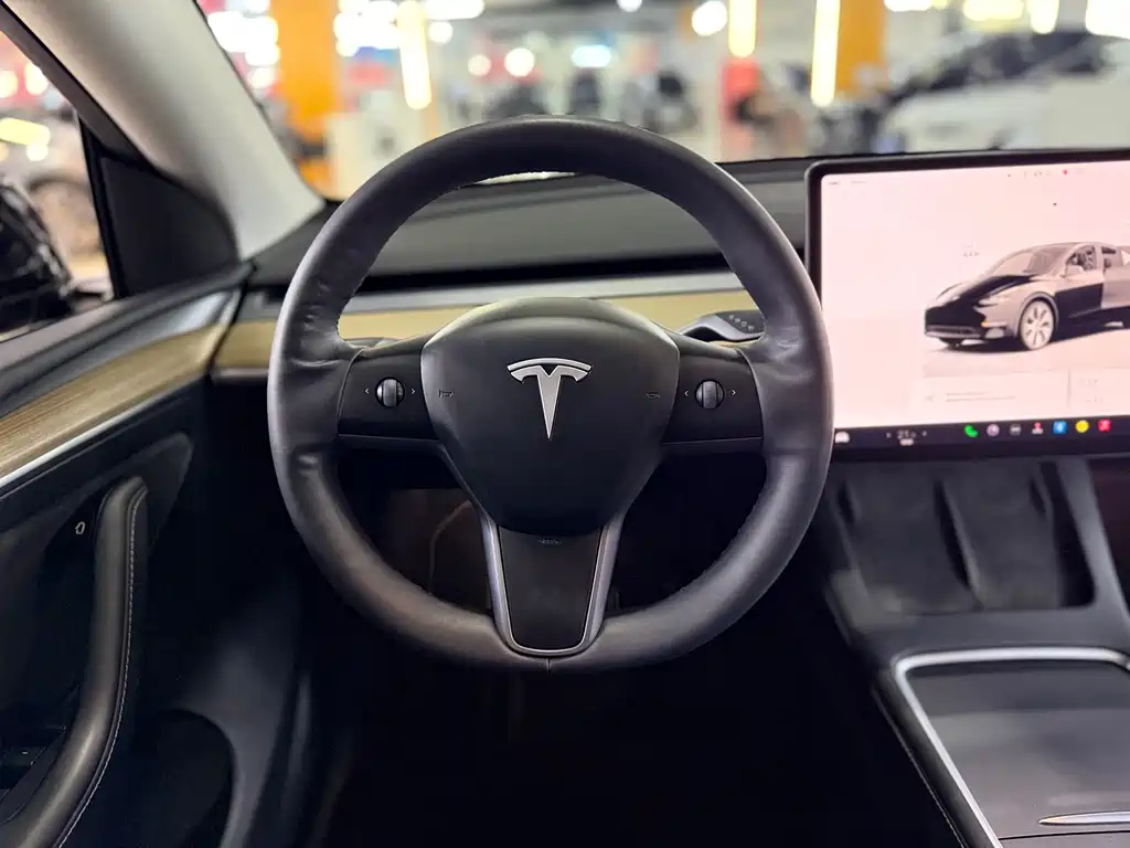 Tesla Model Y — фото 6