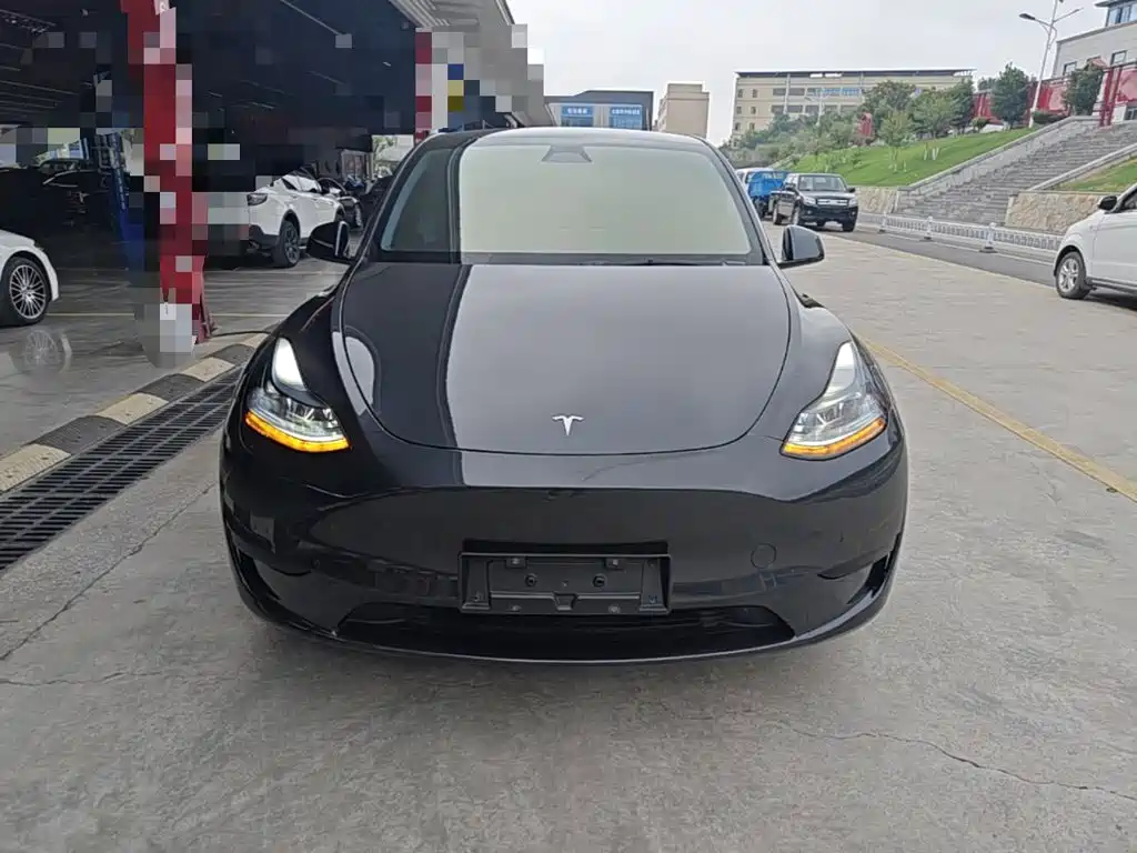 Tesla Model Y — фото 3