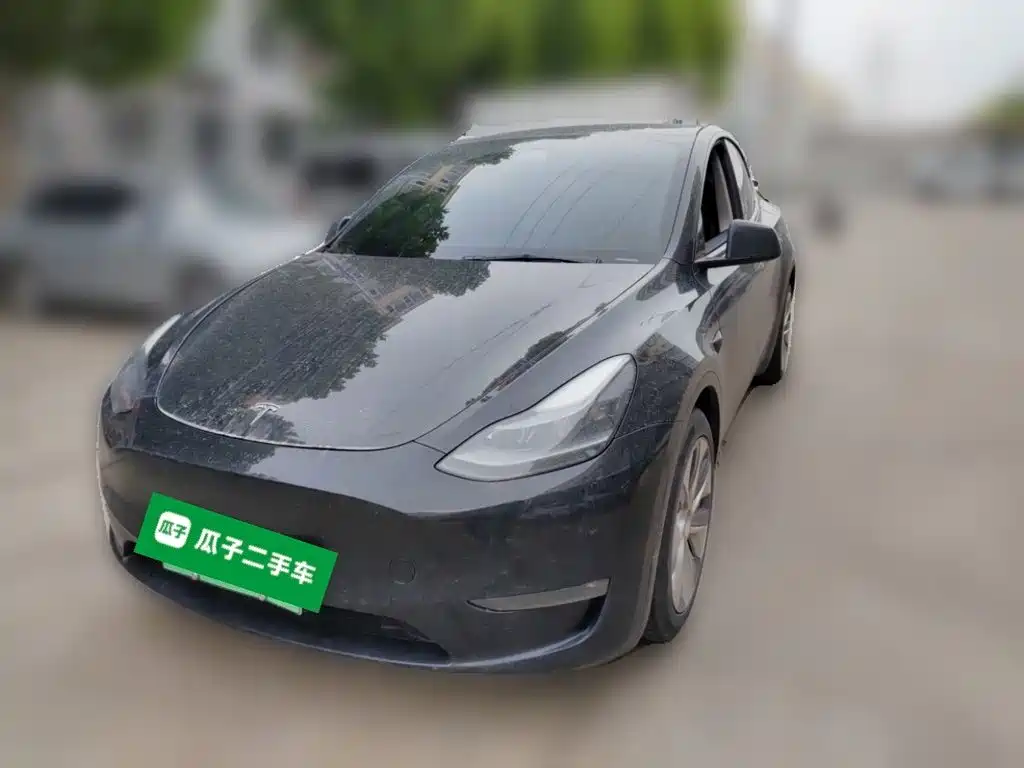 Tesla Model Y — фото 2