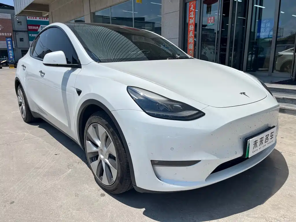 Tesla Model Y — фото 3