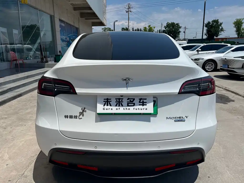 Tesla Model Y — фото 10