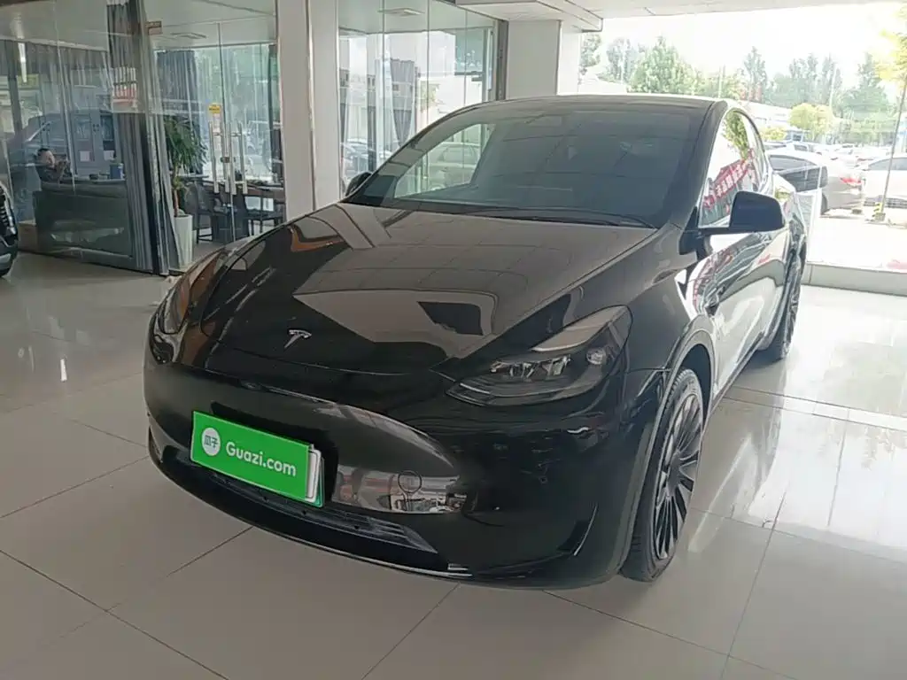 Tesla Model Y — фото 2