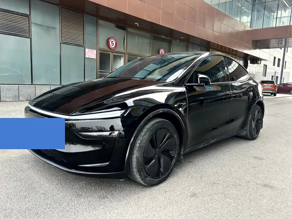 Tesla Model Y — фото 3
