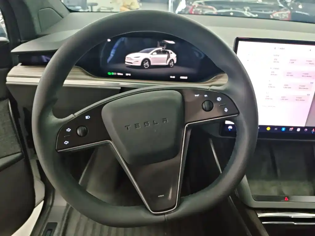 Tesla Model X — фото 11
