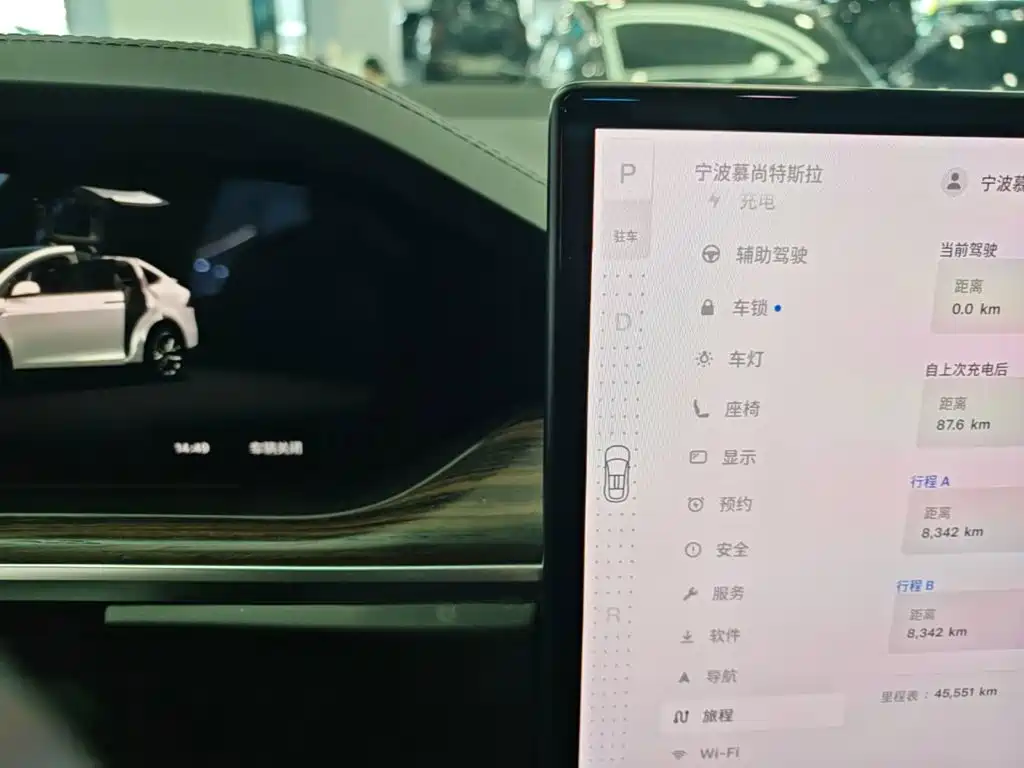 Tesla Model X — фото 14