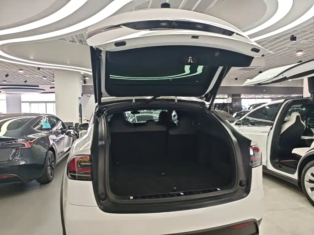 Tesla Model X — фото 19
