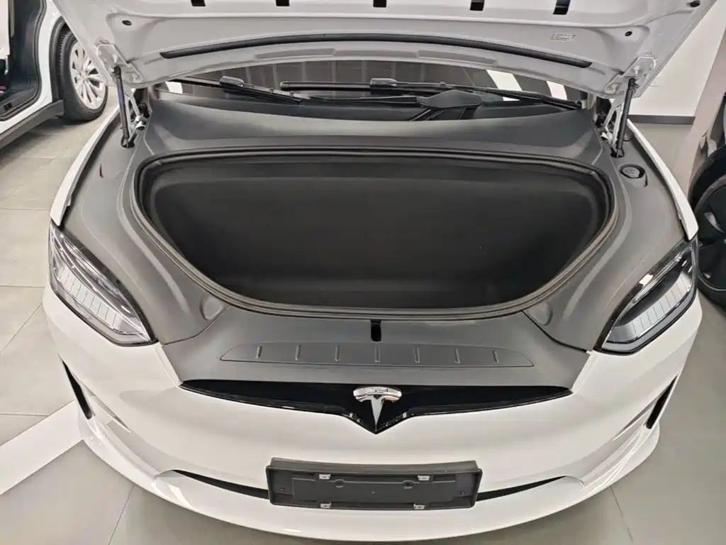Tesla Model X — фото 20