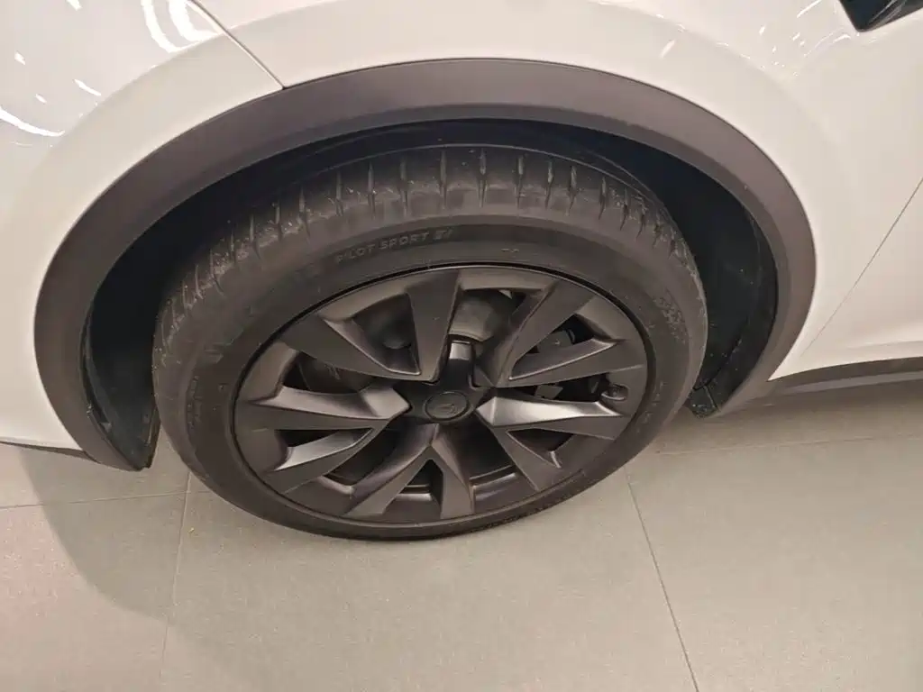 Tesla Model X — фото 23