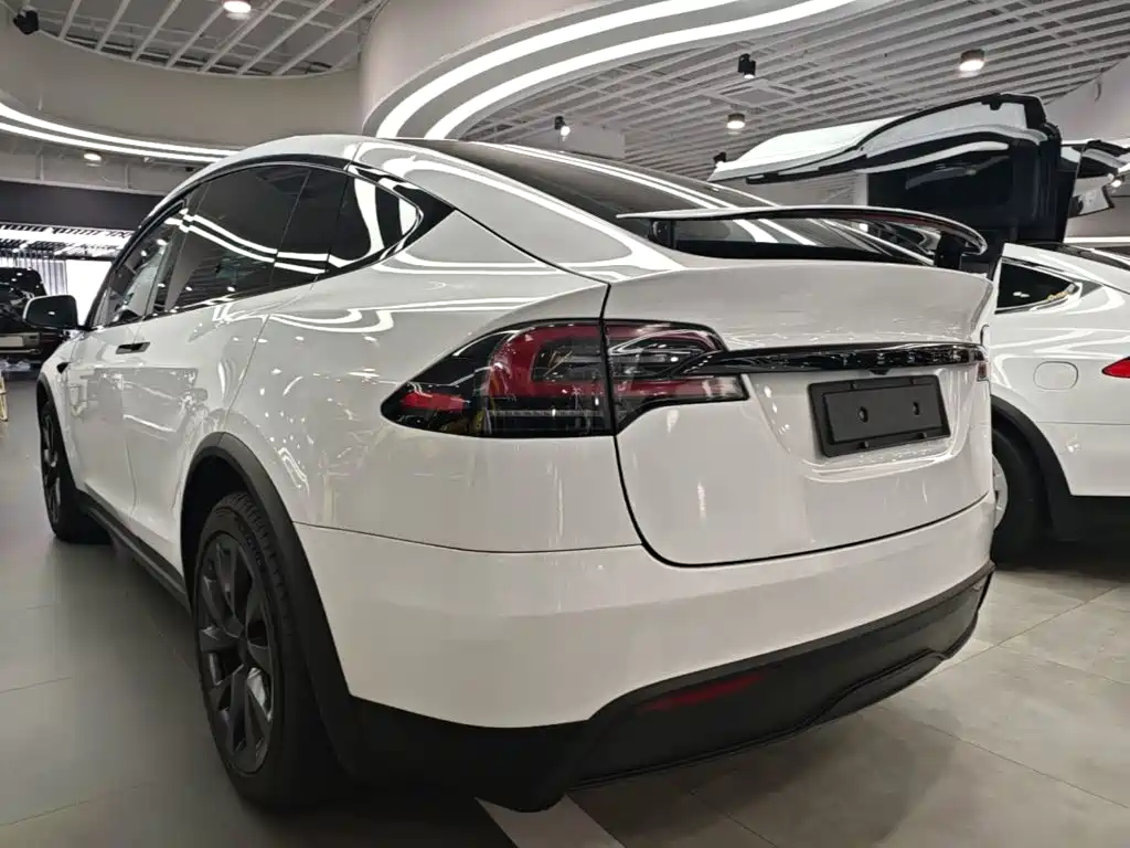 Tesla Model X — фото 5