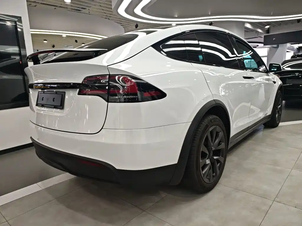 Tesla Model X — фото 7