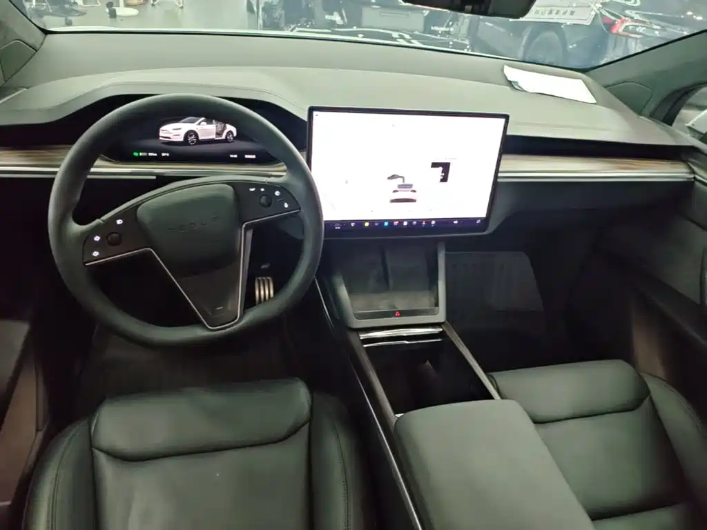 Tesla Model X — фото 10