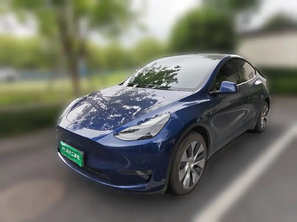 Tesla Model Y — фото 2