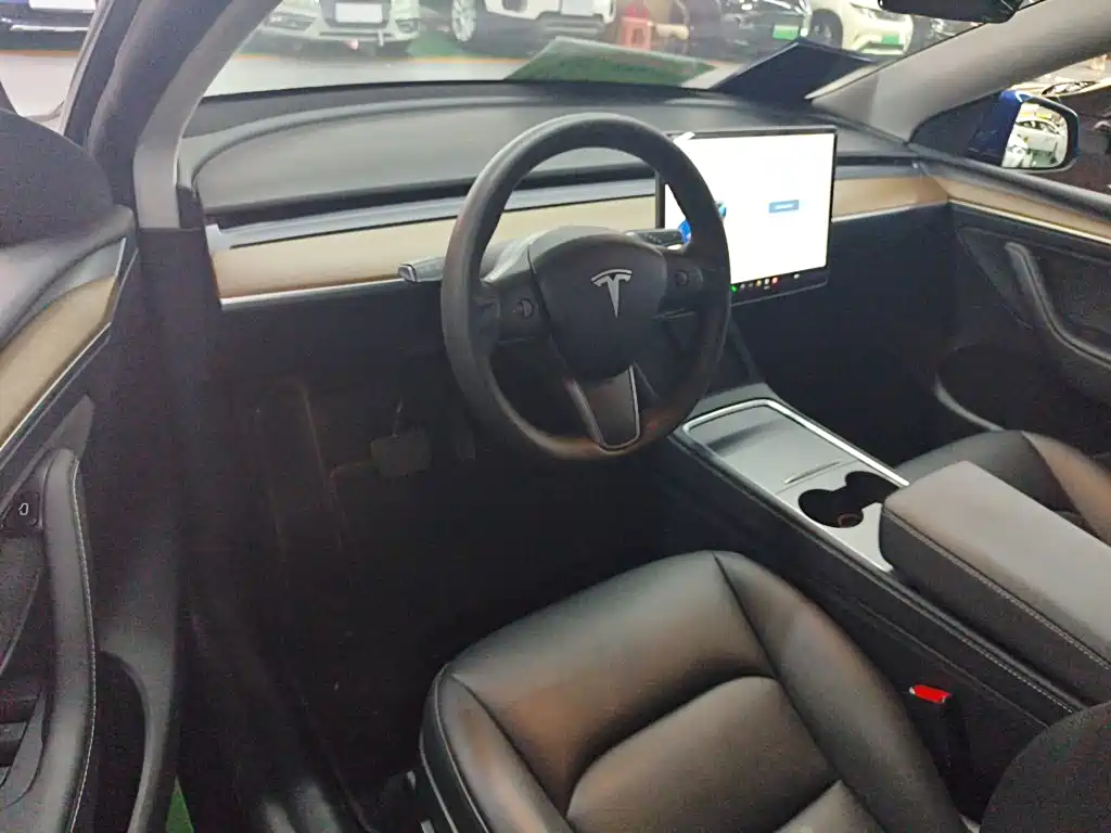 Tesla Model Y — фото 14