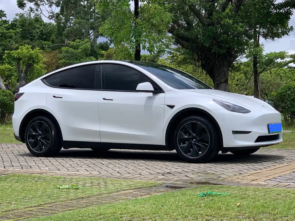 Tesla Model Y — фото 3