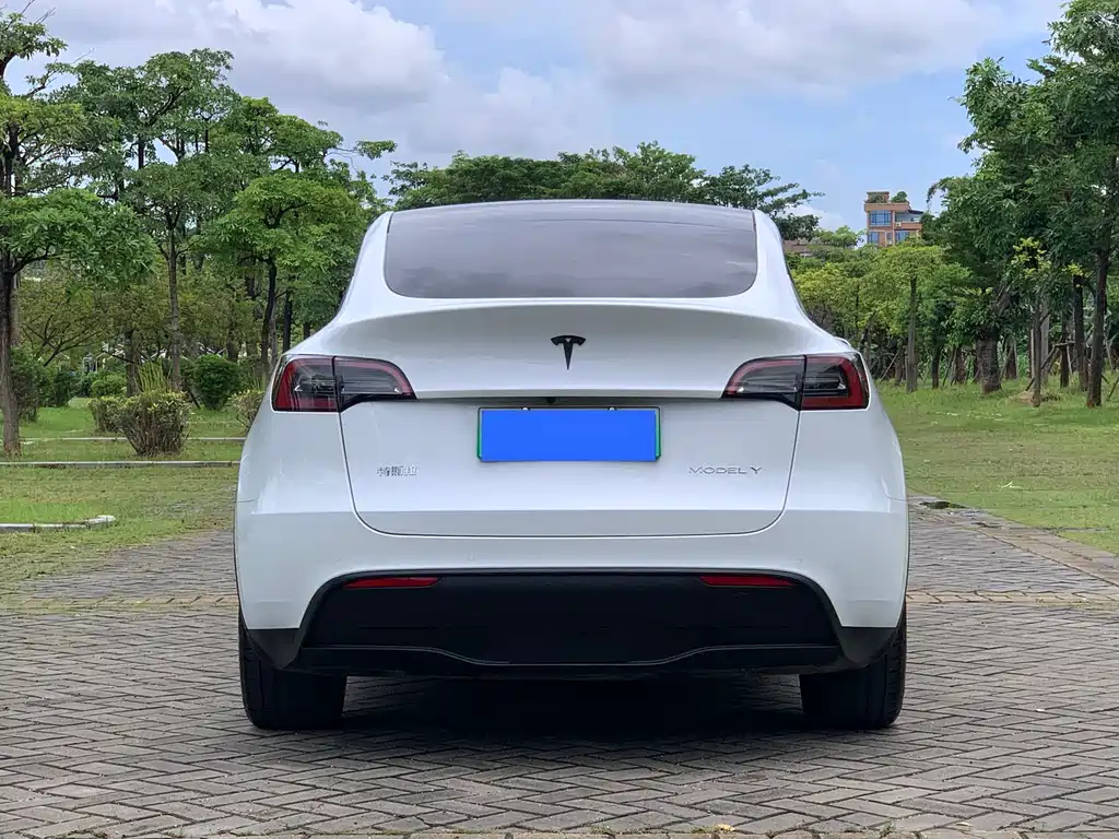 Tesla Model Y — фото 4