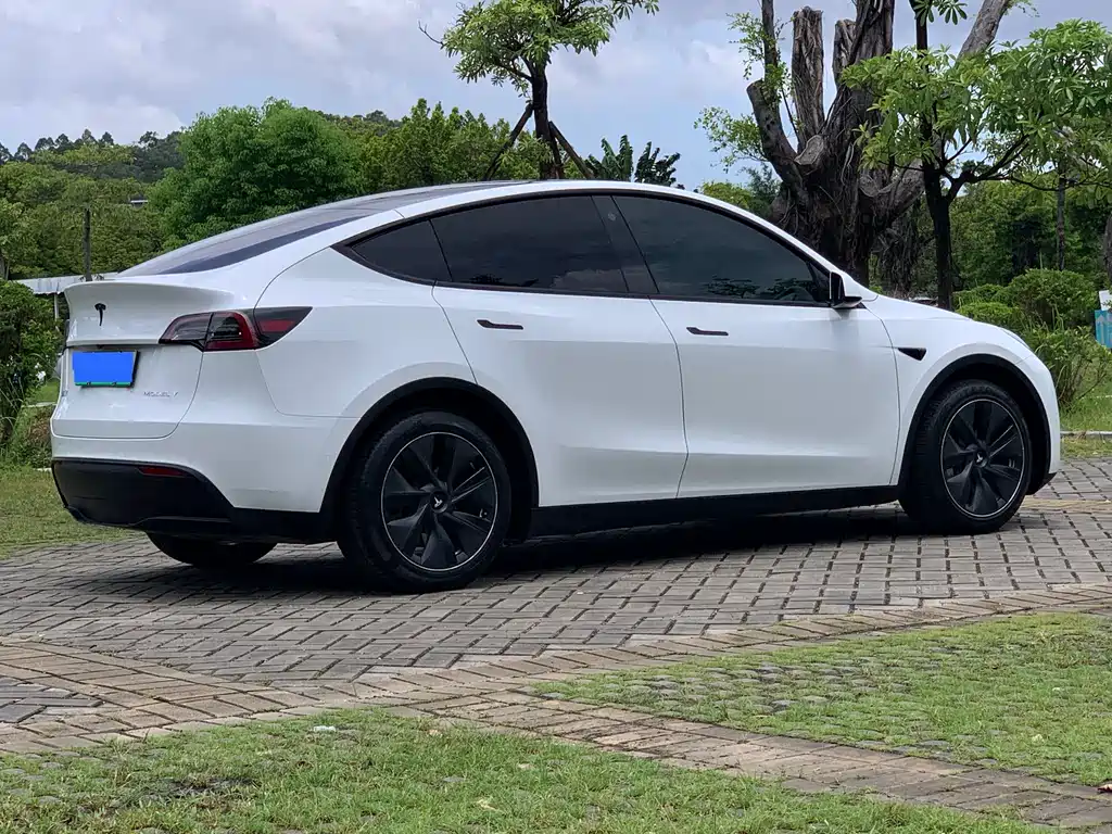 Tesla Model Y — фото 5