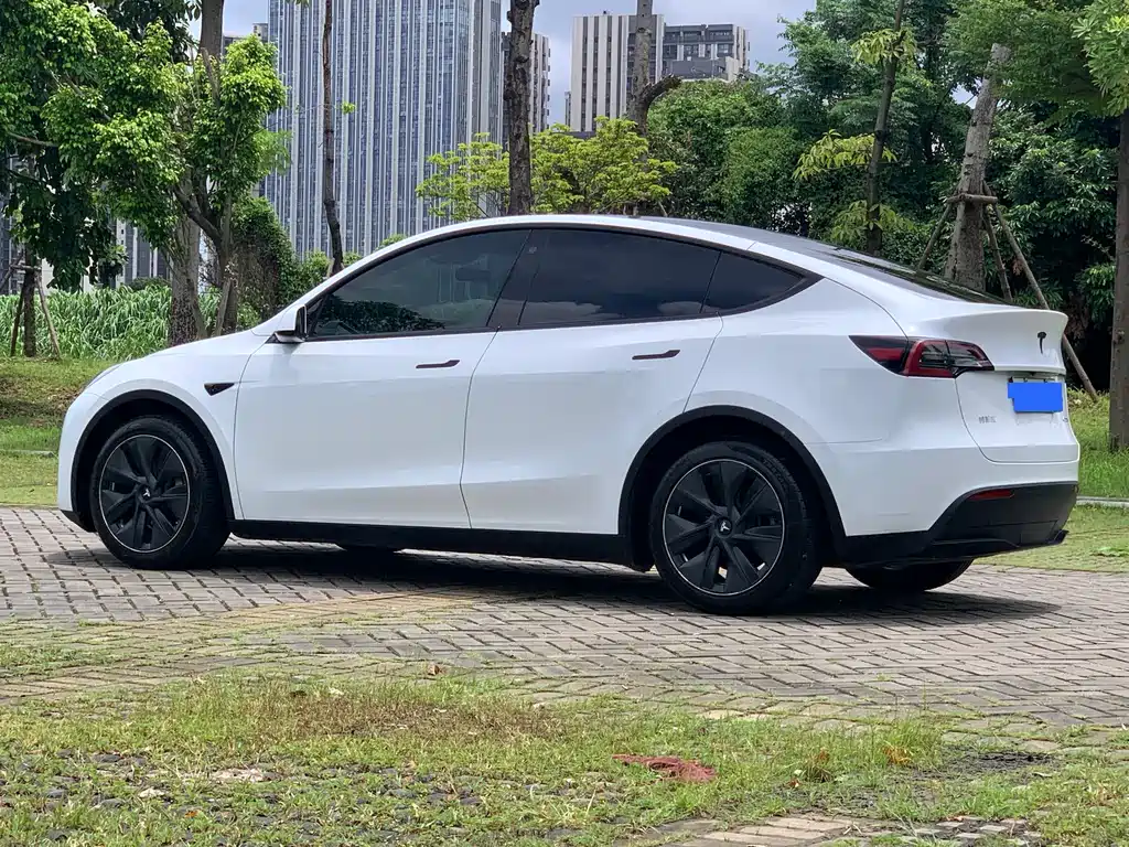 Tesla Model Y — фото 6