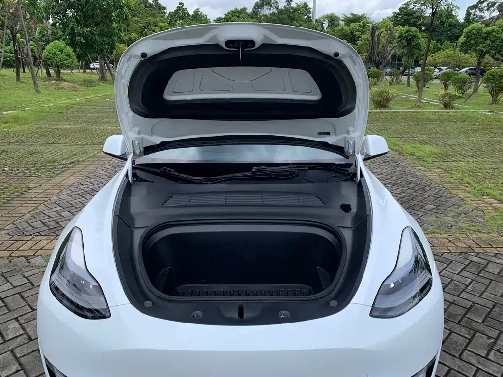 Tesla Model Y — фото 8