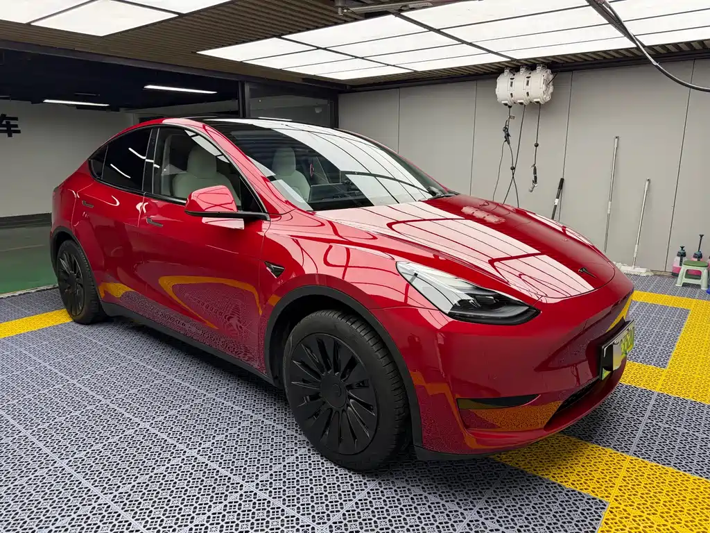 Tesla Model Y — фото 2