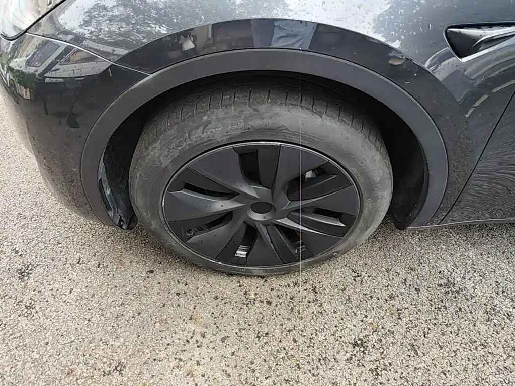 Tesla Model Y — фото 23