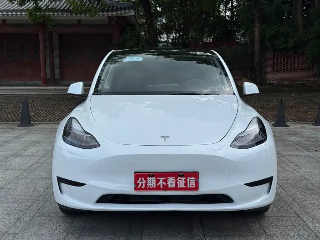 Tesla Model Y — фото 2