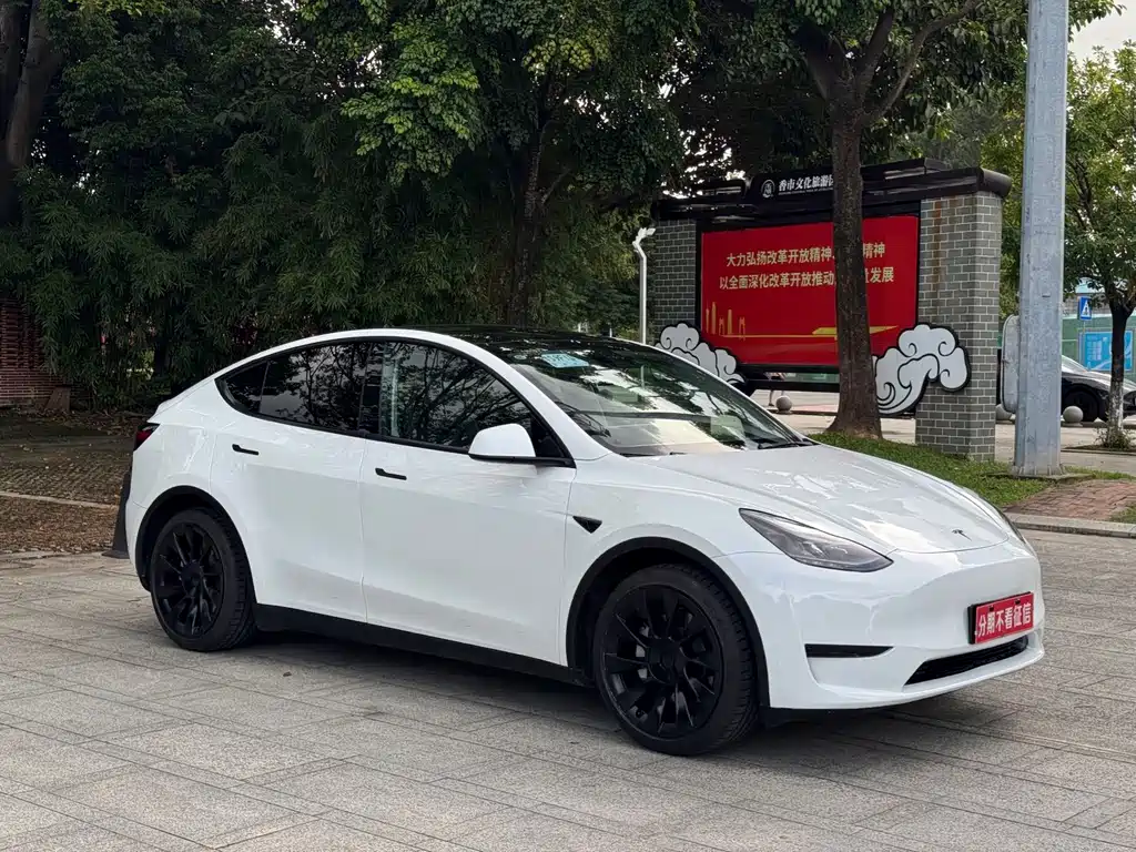 Tesla Model Y — фото 3