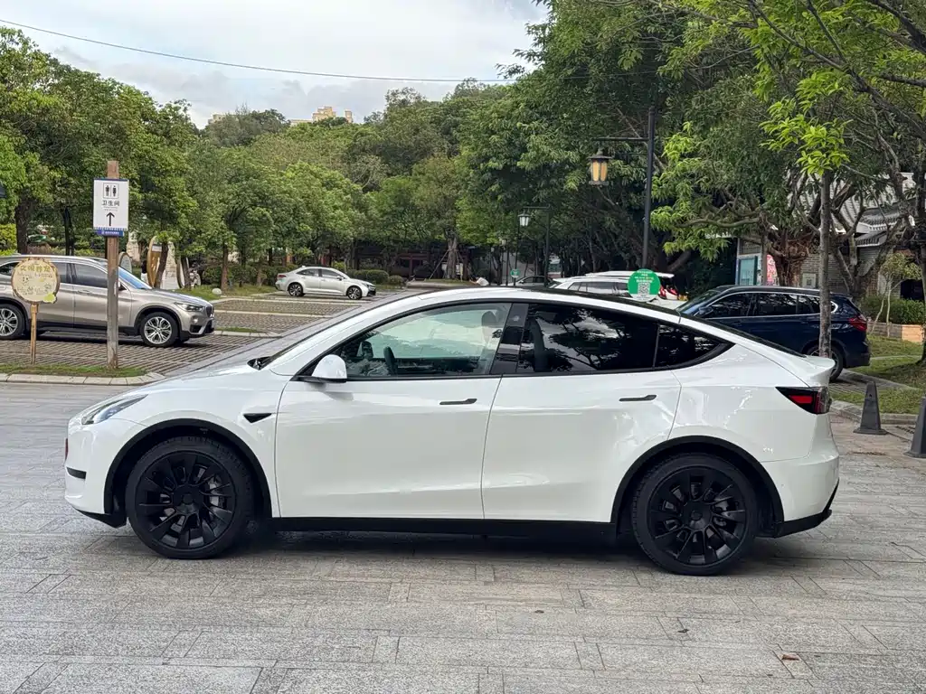 Tesla Model Y — фото 5