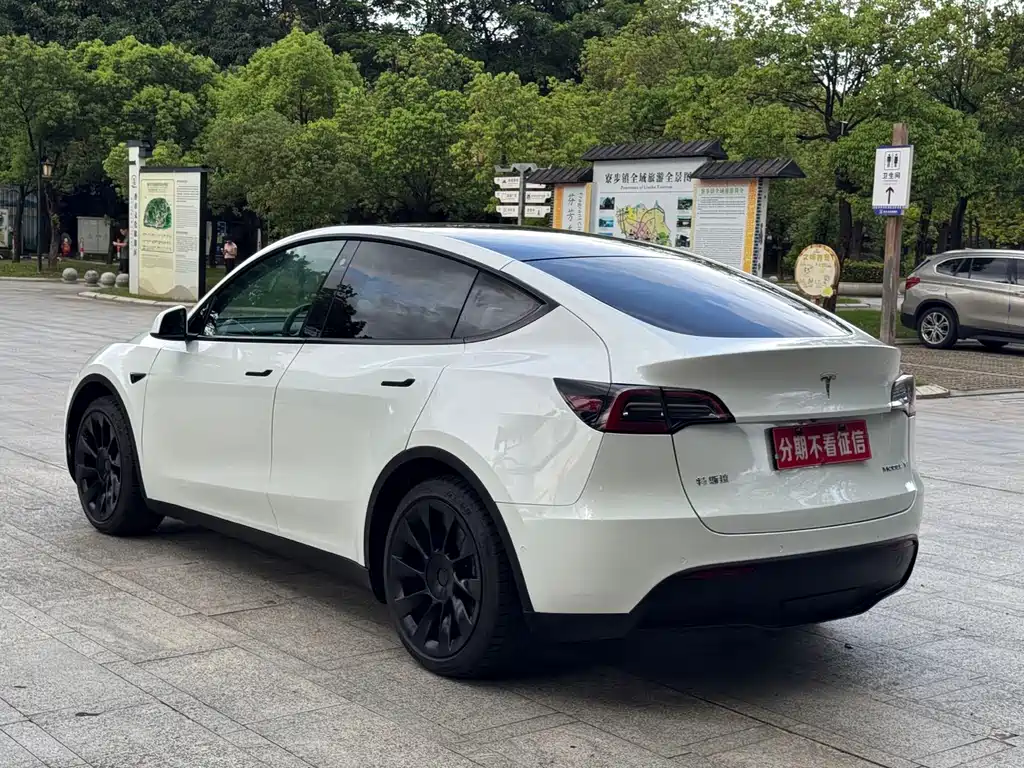 Tesla Model Y — фото 7
