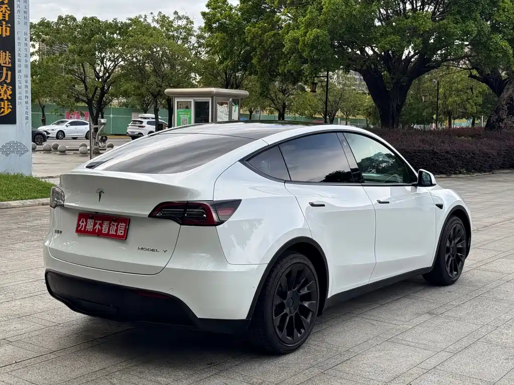 Tesla Model Y — фото 8